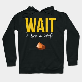 Wait I See A Rock Funny Geology Rockhounding Hoodie